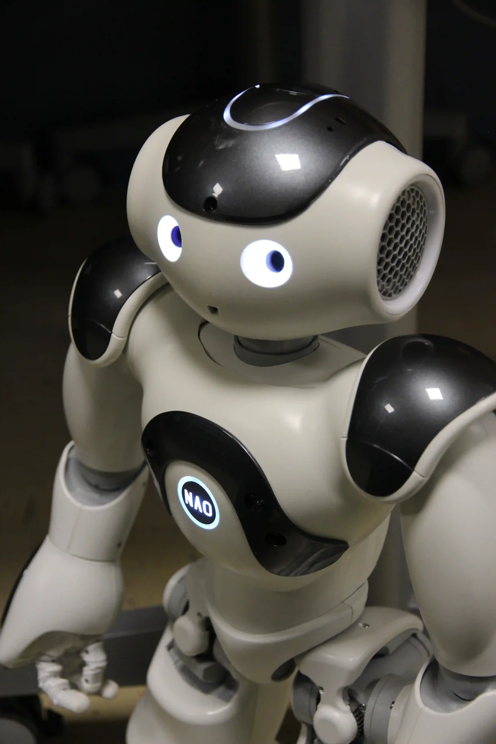 Robot NAO en démonstration